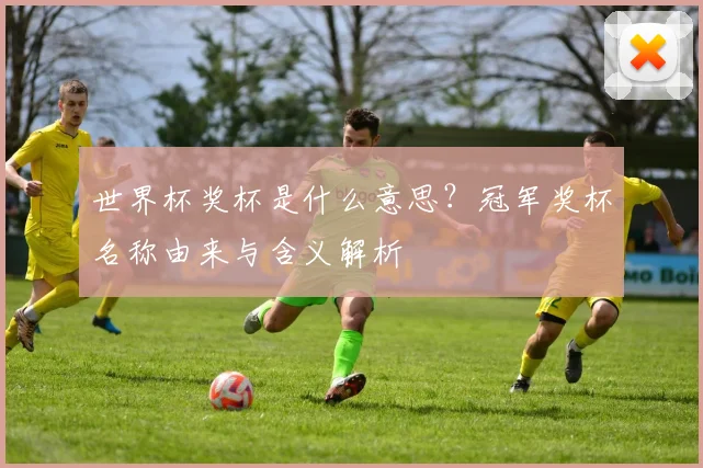 世界杯奖杯是什么意思?冠军奖杯名称由来与含义解析