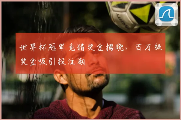 世界杯冠军竞猜奖金揭晓,百万级奖金吸引投注潮