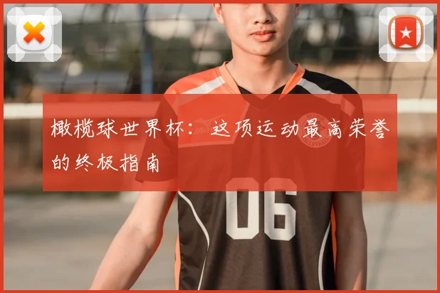 橄榄球世界杯：这项运动最高荣誉的终极指南