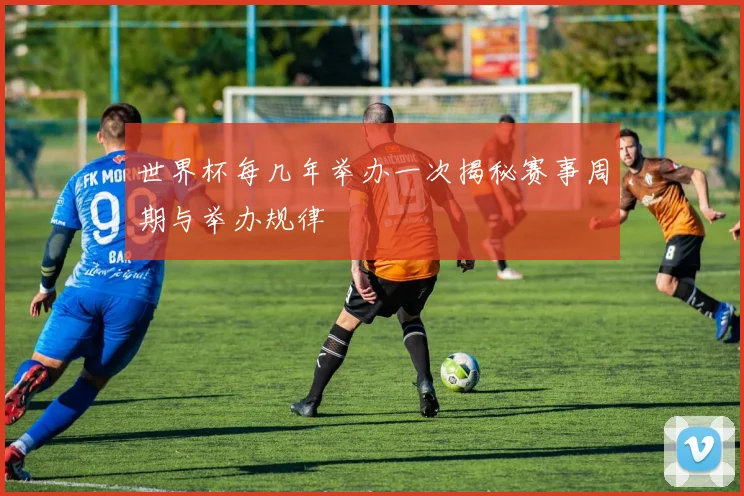 世界杯每几年举办一次揭秘赛事周期与举办规律
