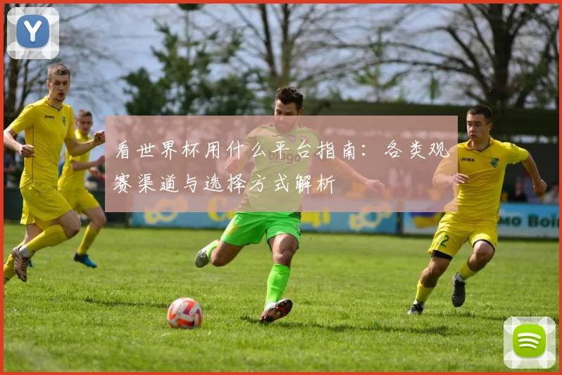 看世界杯用什么平台指南:各类观赛渠道与选择方式解析