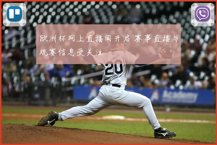 欧洲杯网上直播间开启 赛事直播与观赛信息受关注