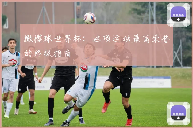 橄榄球世界杯：这项运动最高荣誉的终极指南