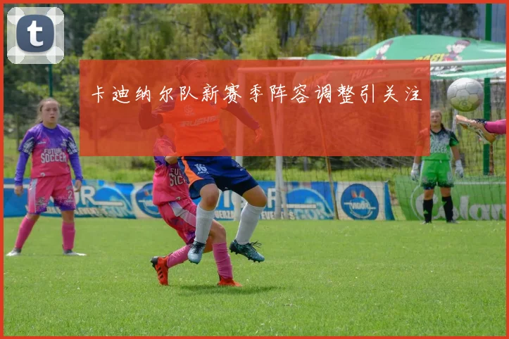 卡迪纳尔队新赛季阵容调整引关注