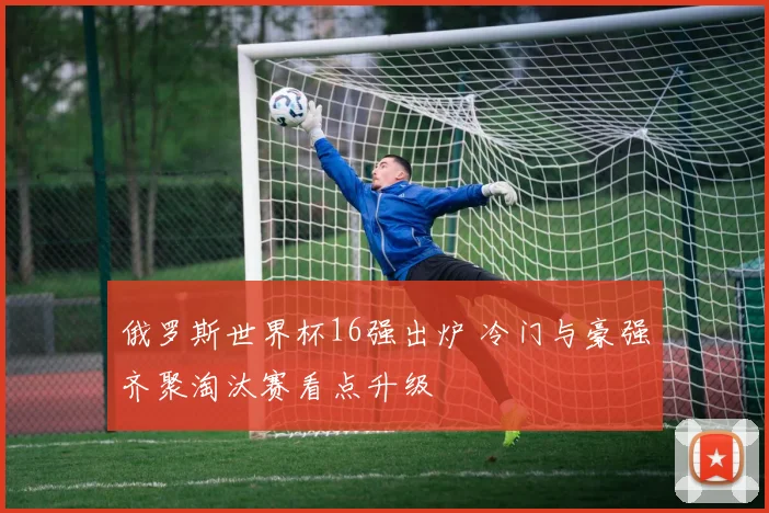 俄罗斯世界杯16强出炉 冷门与豪强齐聚淘汰赛看点升级